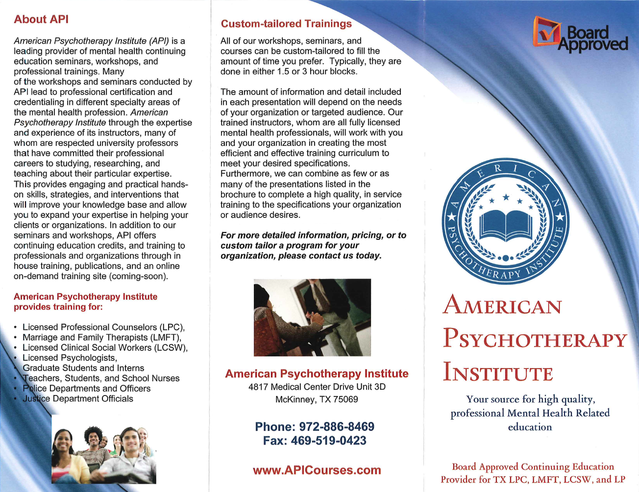 American Psychotherapy Institute Flyer
